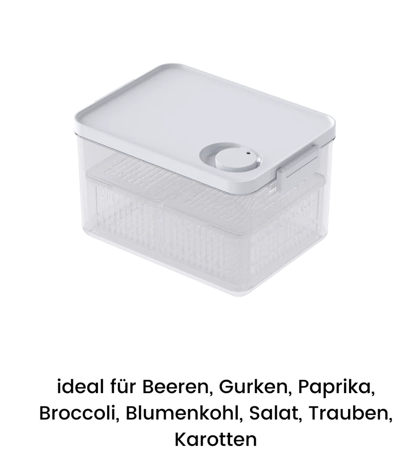 DATEMATE Frischhaltebox mit Haltbarkeits-Timer - 24.5x15.8x13.9 cm (2.8 L)