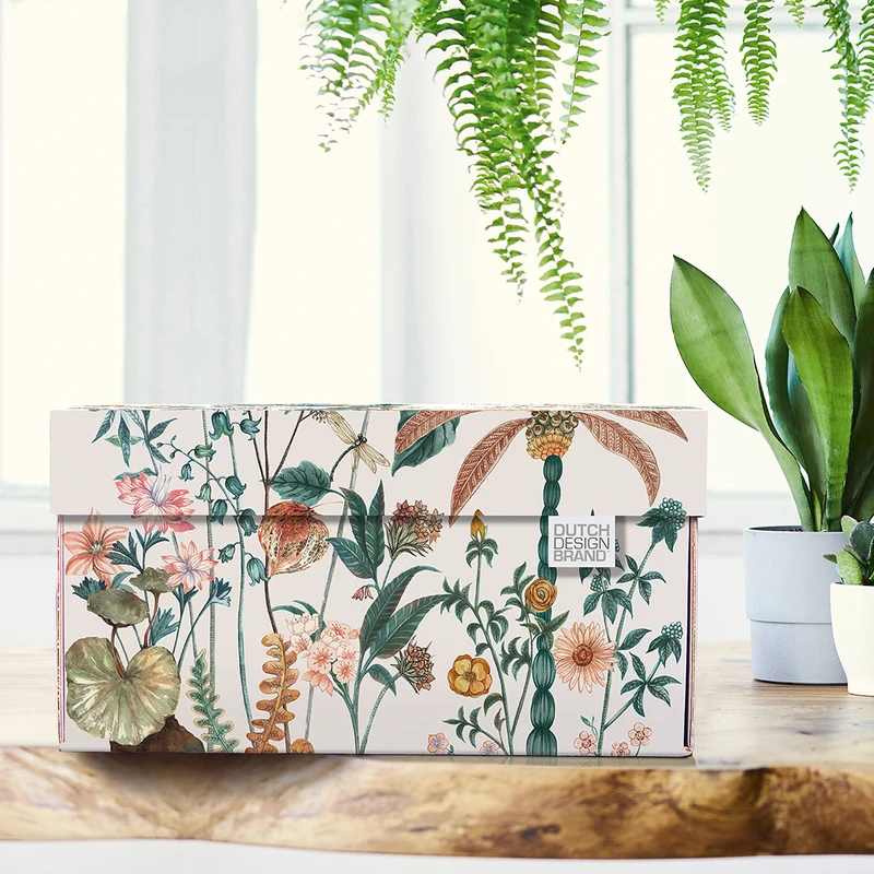 Dragonfly Storage Box B2B