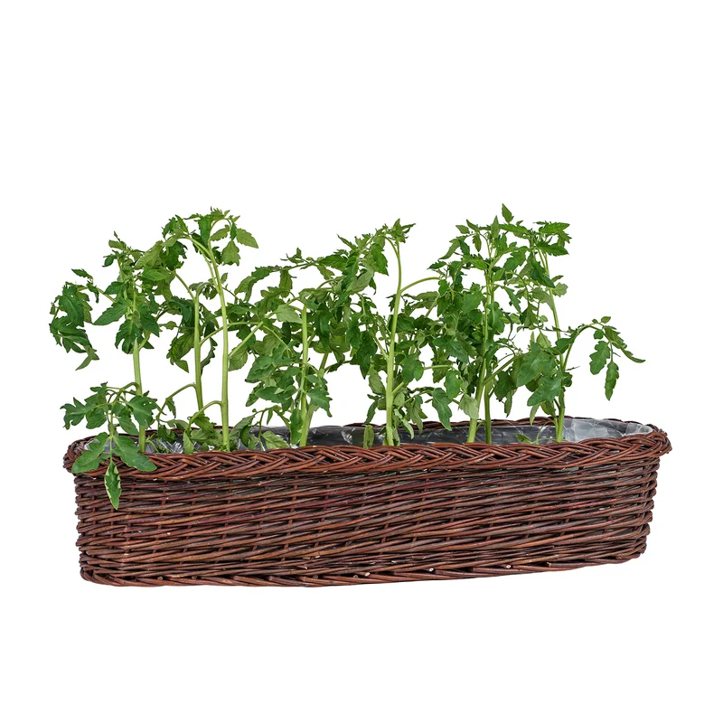 Fivina wicker garden planter, plant basket, wicker flower box with plastic liner TheWickerStories