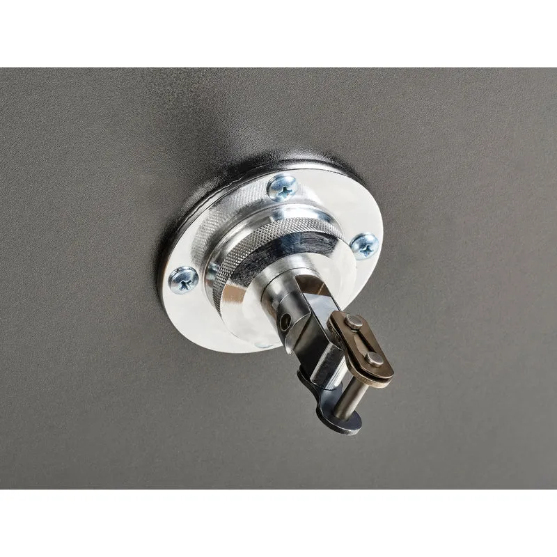 Speedball Plattform mit Rindsleder Boxbirne medium zur Wandmontage I BCA-130
