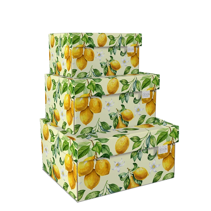 Lemons Storage Box B2B
