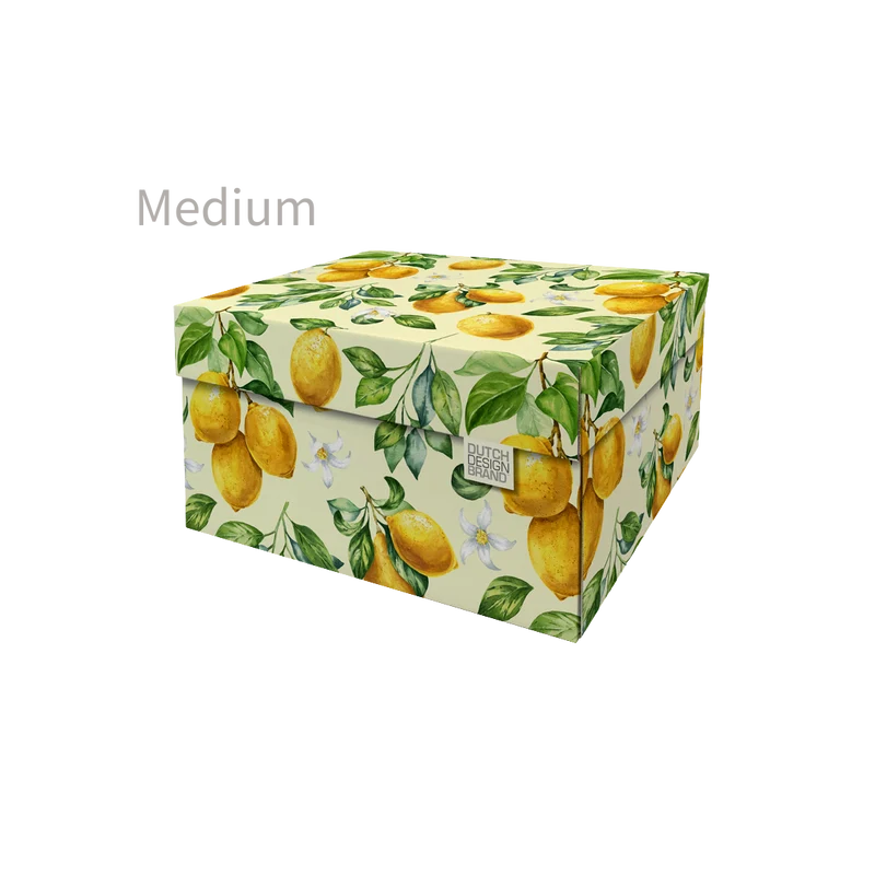 Lemons Storage Box B2B
