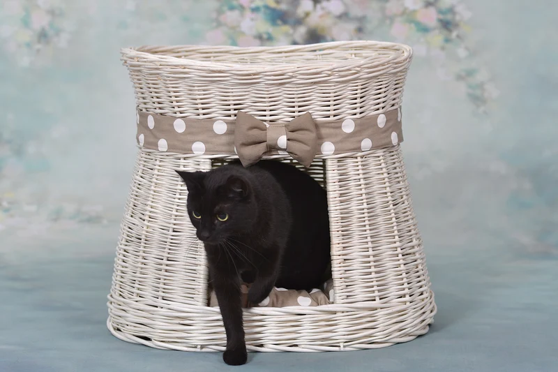 Erif wicker cat house with beige cushions, two-story, with a bow TheWickerStories