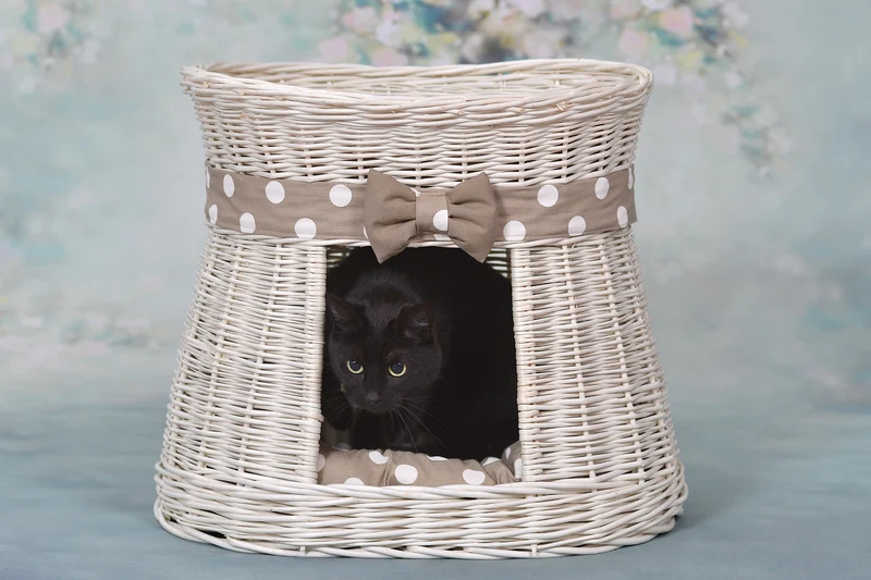 Erif wicker cat house with beige cushions, two-story, with a bow TheWickerStories