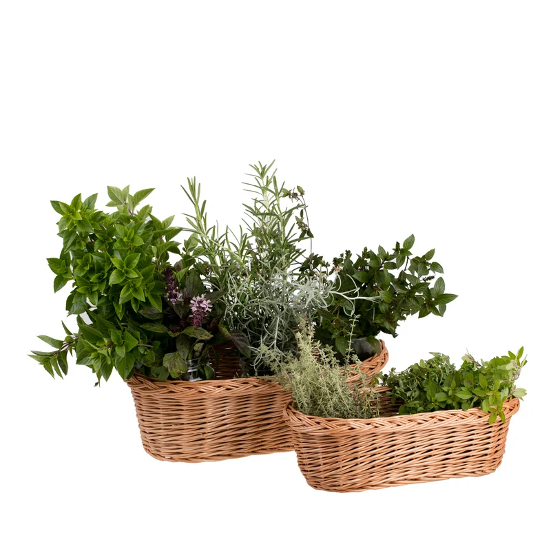 Fivina wicker plant pot cover set, 3-piece set. TheWickerStories