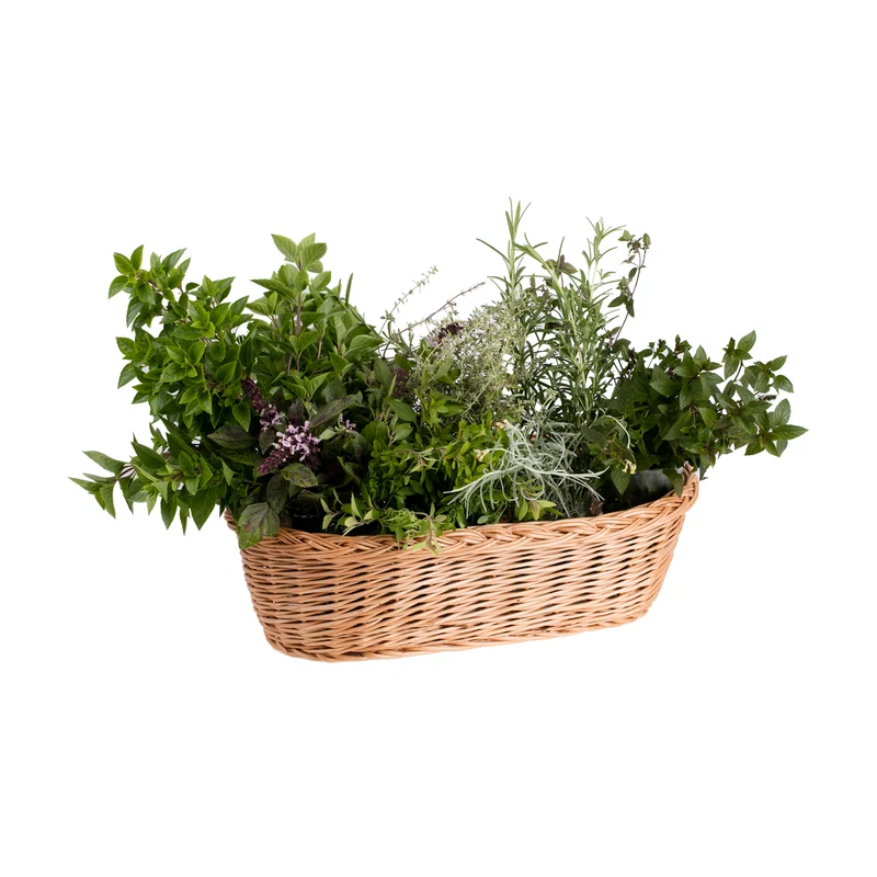 Fivina wicker plant pot cover set, 3-piece set. TheWickerStories