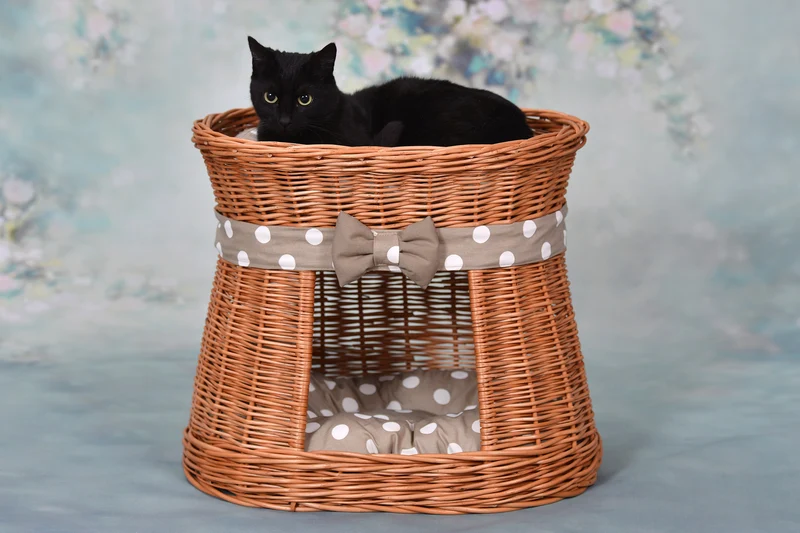 Erif wicker cat house with beige cushions, two-tier, with a bow TheWickerStories