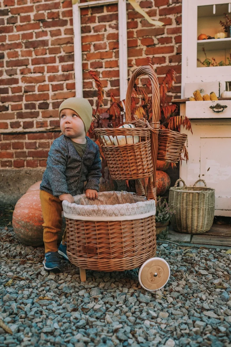 Acer wicker plant basket with cream trim on wheels TheWickerStories