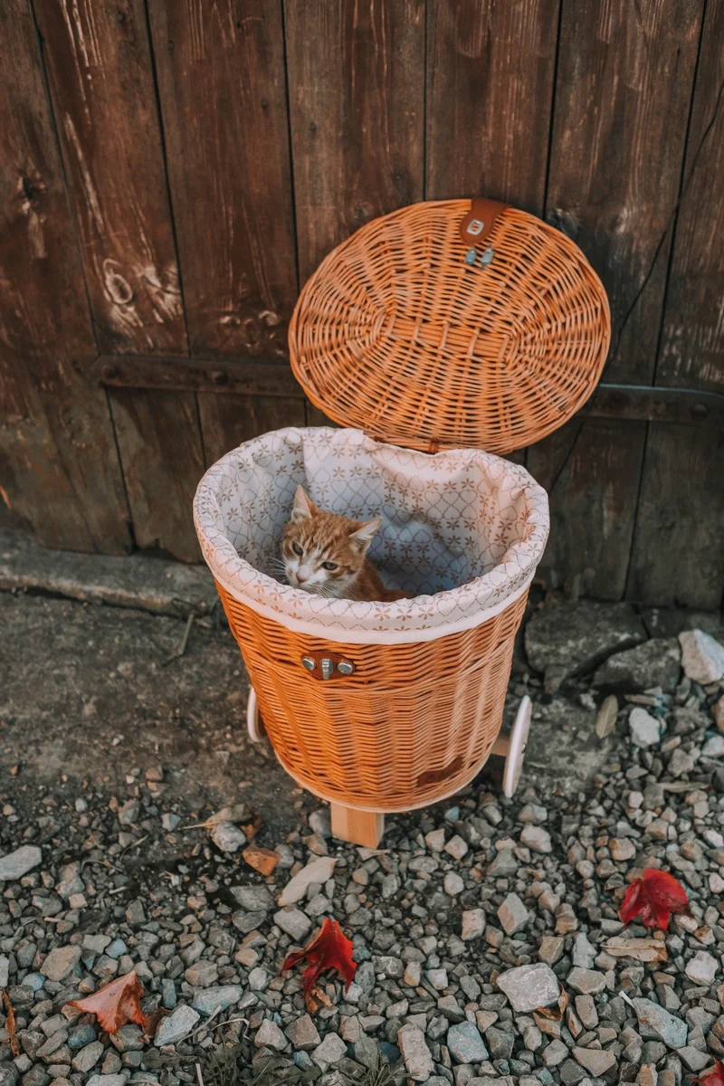 Celtis wicker basket on wheels with cream trim and straps TheWickerStories