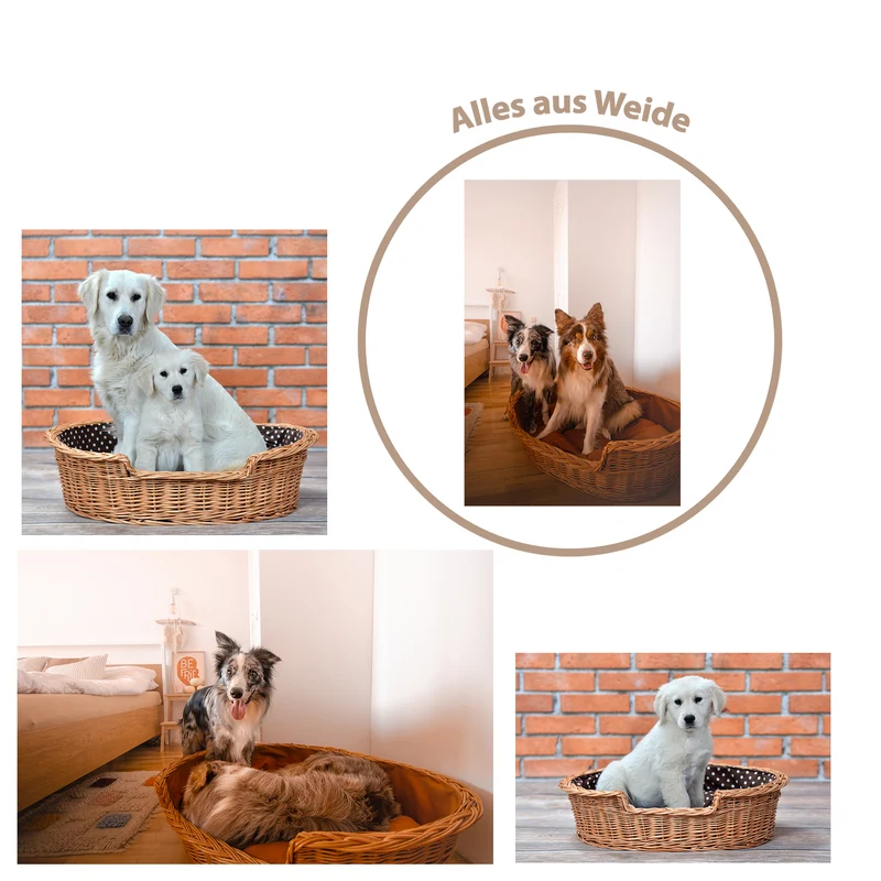 Esmira wicker basket for dog and cat with brown cushion TheWickerStories