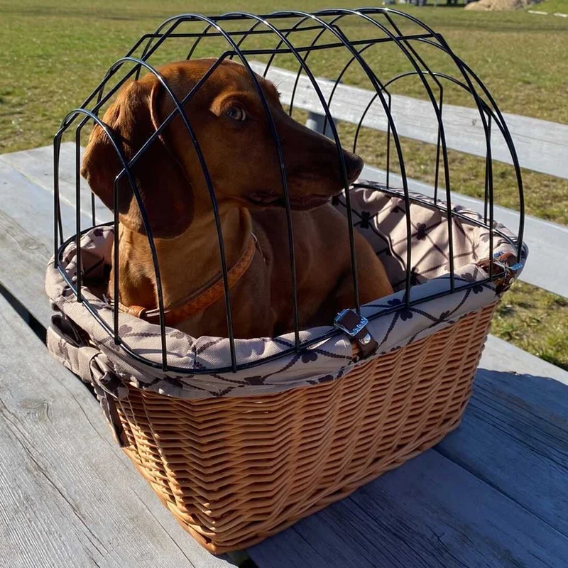Timoria wicker bike basket for dog and cat with cushion, pet bike carrier with lockable metal grille TheWickerStories
