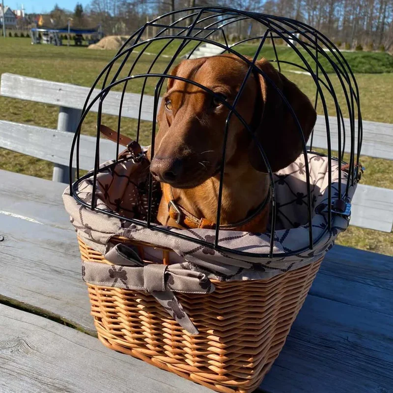 Timoria wicker bike basket for dog and cat with cushion, pet bike carrier with lockable metal grille TheWickerStories