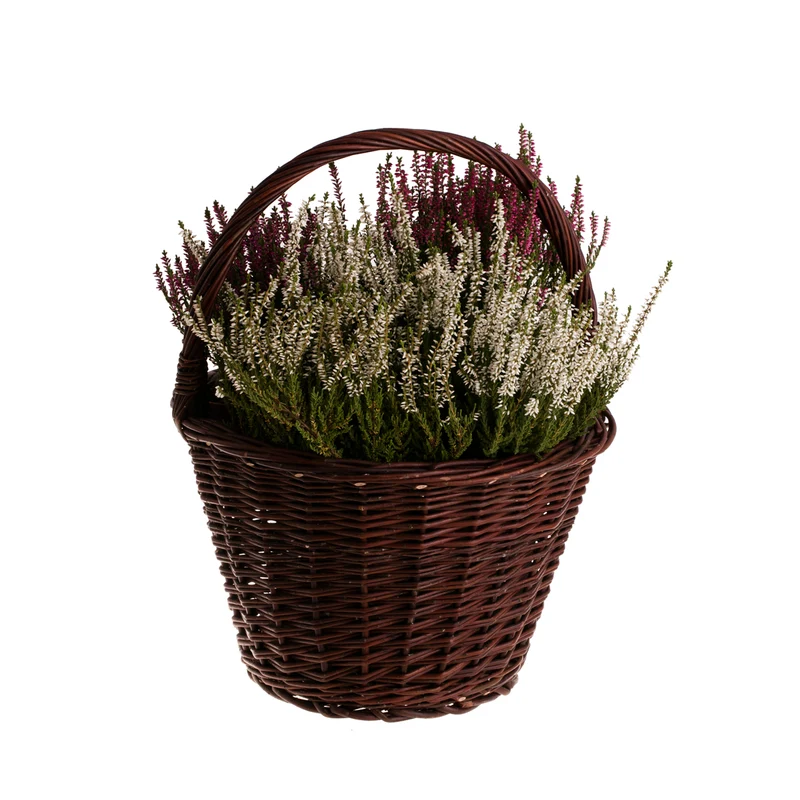 Valleria wicker garden basket for flowers and harvests, with handle TheWickerStories