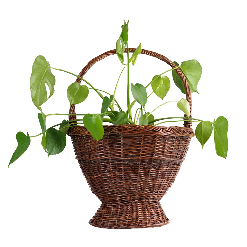Zemira wicker garden basket for flowers and herbs, with handle TheWickerStories
