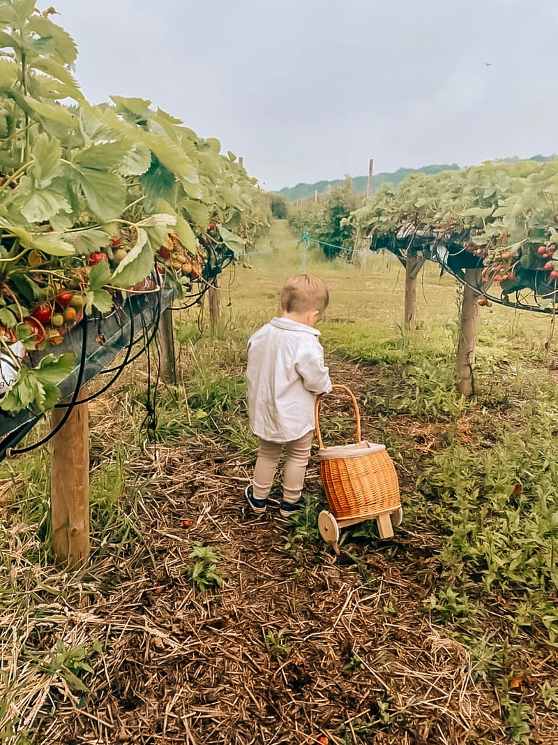 Luke wicker push-along doll pram with pink trim, handle and wooden wheels TheWickerStories