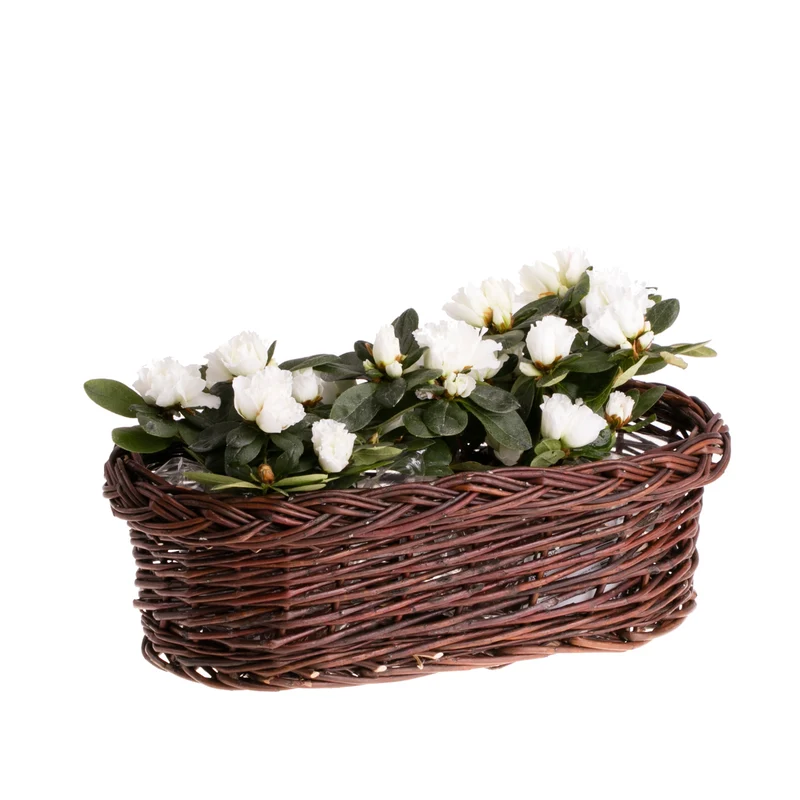 Zenturia wicker flower basket for garden and balcony TheWickerStories