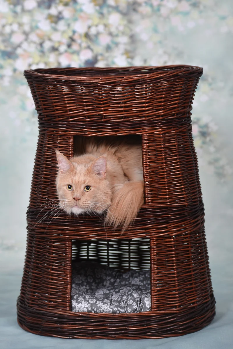 Elnoria wicker cat basket with gray cushions, three-tier TheWickerStories
