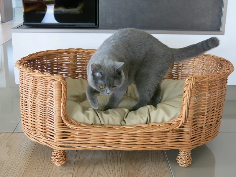 Esoria wicker pet bed for dogs and cats with beige cushion TheWickerStories