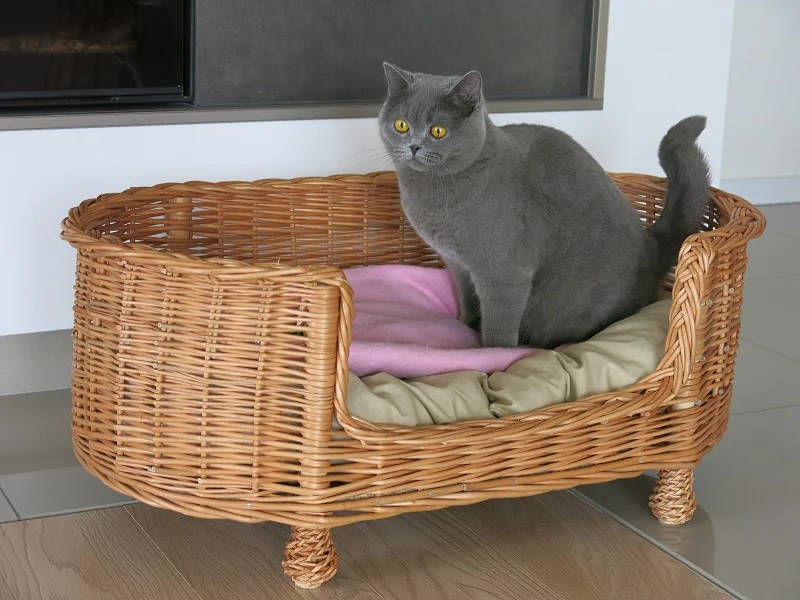 Esoria wicker pet bed for dogs and cats with beige cushion TheWickerStories