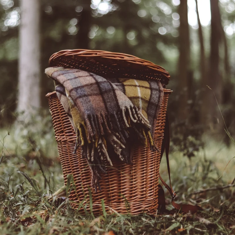 Sirellius wicker harvest backpack, gathering basket to wear on the back with jute trim TheWickerStories