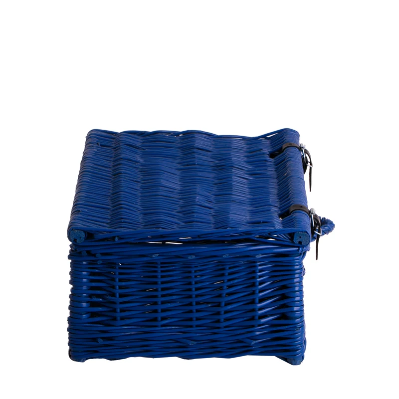Viviana wicker suitcase with handle and clasp TheWickerStories