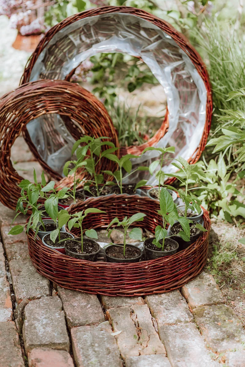 Pallados set of 3 wicker planter baskets with lining TheWickerStories