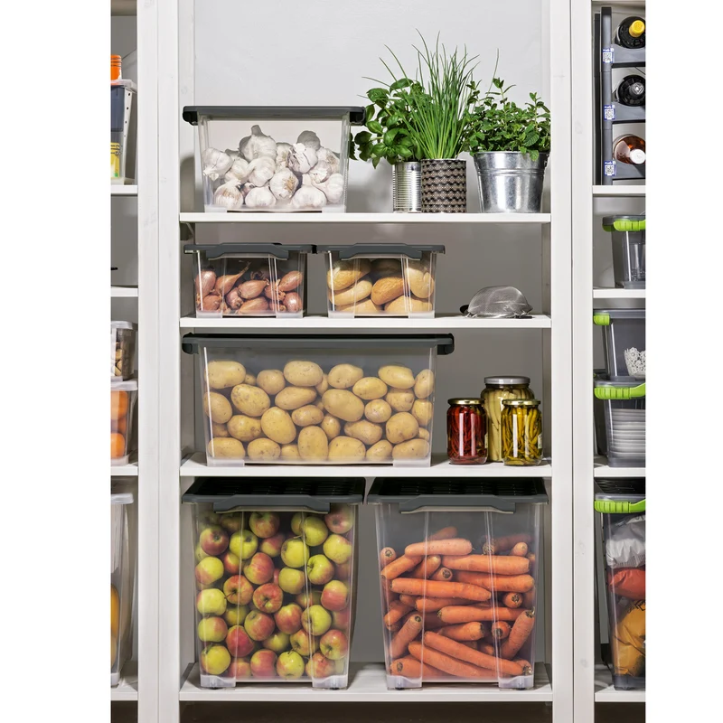 Box mit Rädern und Deckel 65 l EVO SAFE KEEPING
