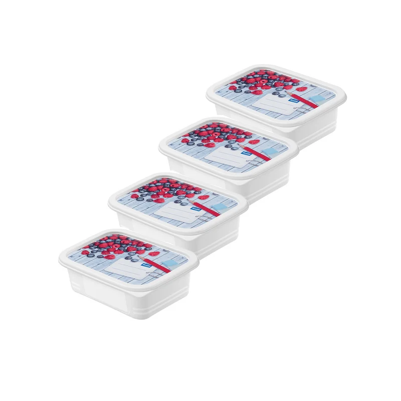 4er Set Gefrierdosen 0,5 l DOMINO