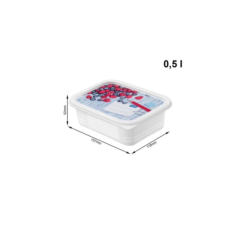 4er Set Gefrierdosen 0,5 l DOMINO