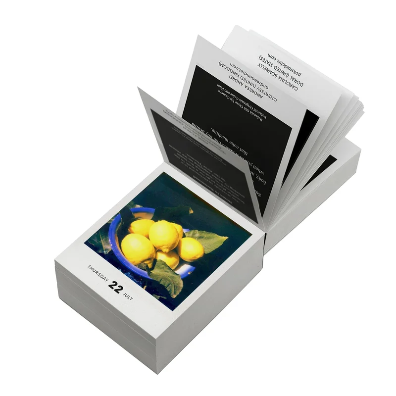 Abreißkalender “Photodarium” 2027 | Sofortbildkunst | Seltmann Publishers
