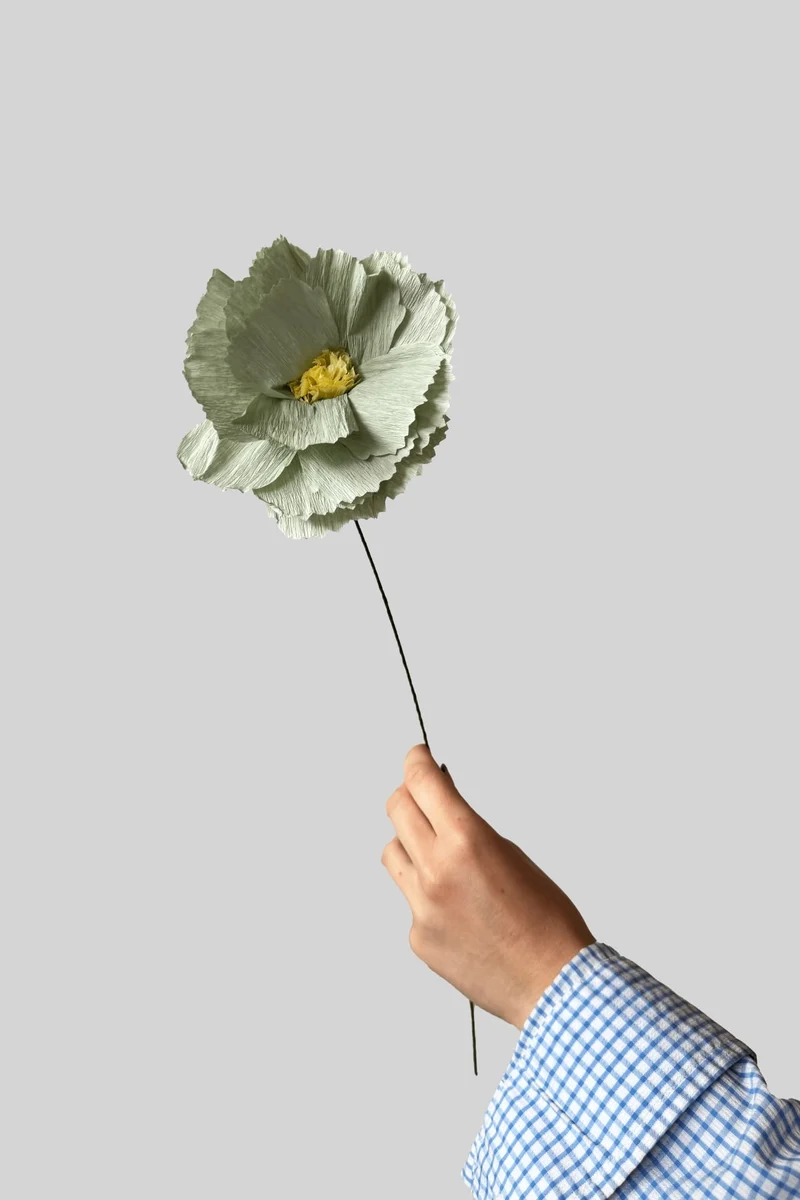 PAPER FLOWER, PEONY, MINT