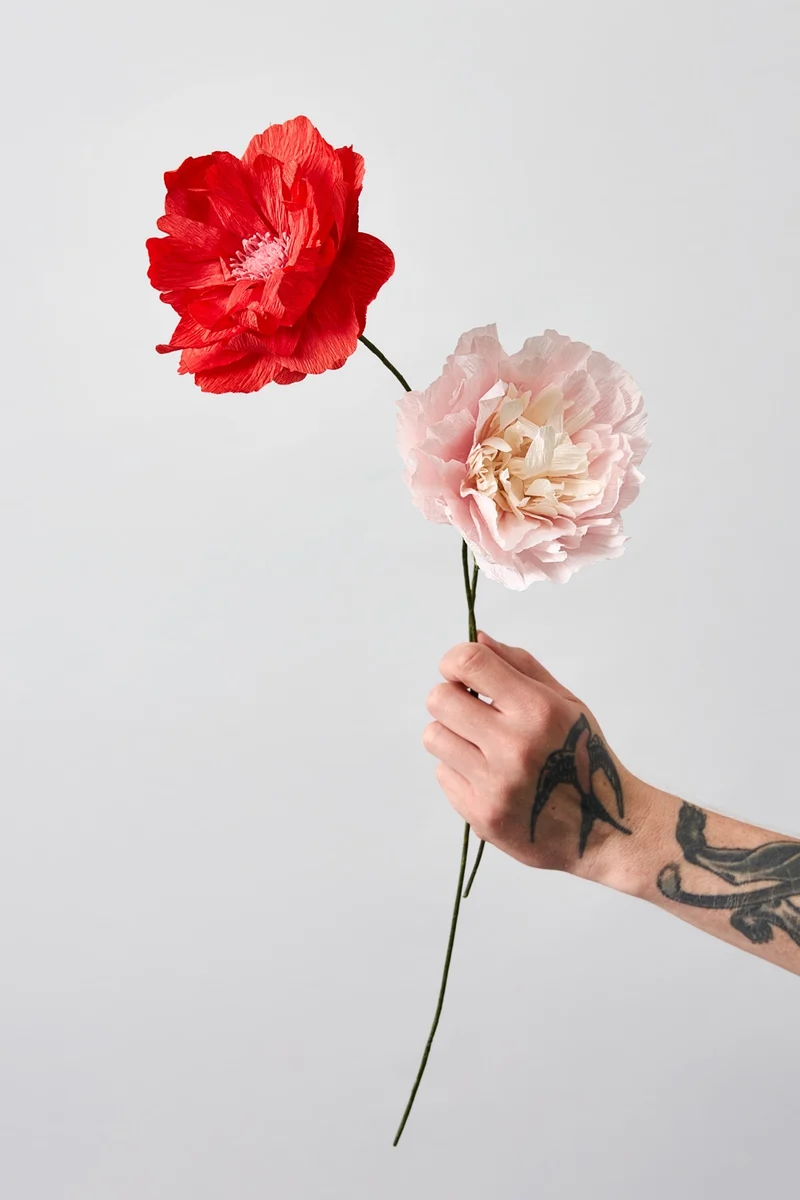 PAPER FLOWER, VEGGIE ROSE, ROSE