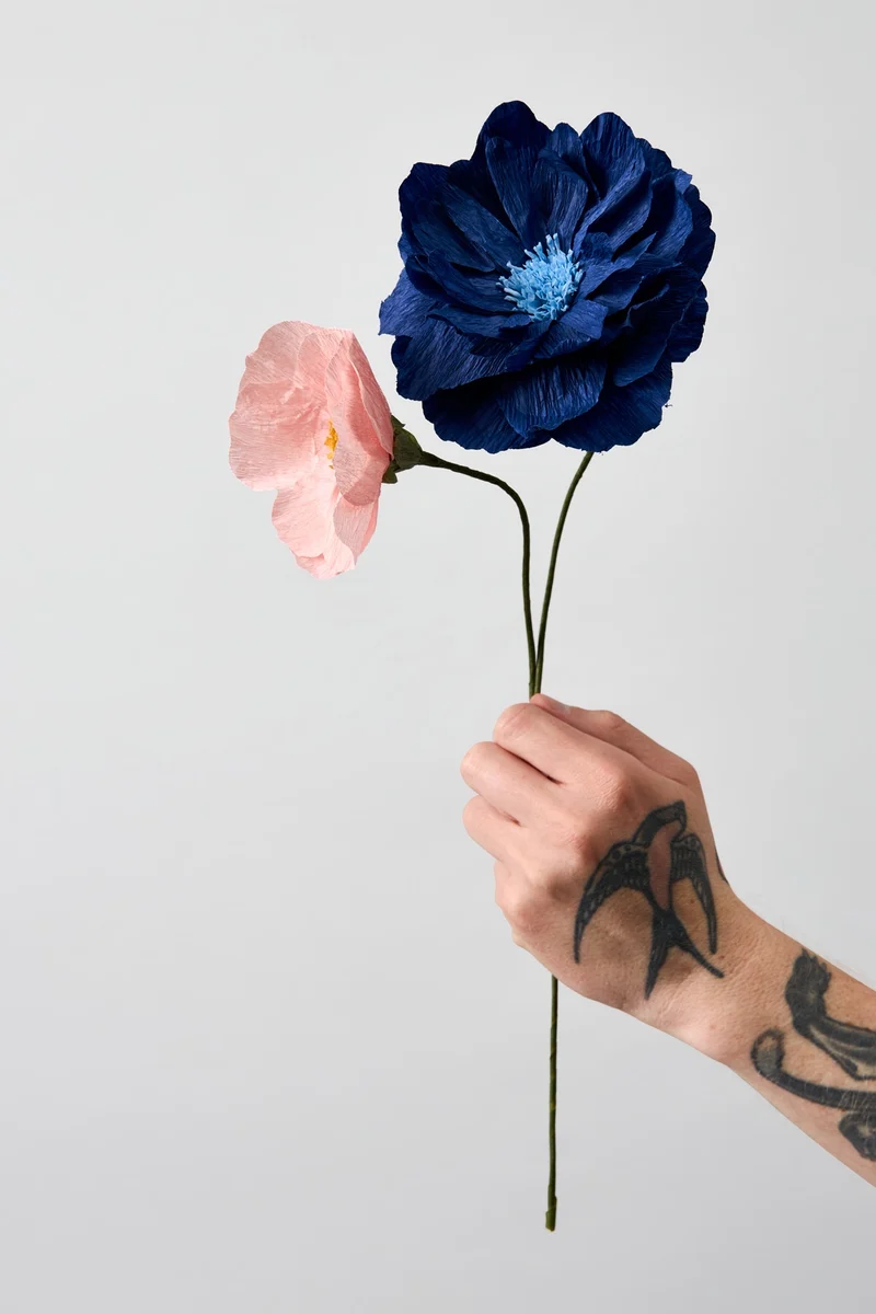 PAPER FLOWER, WINDFLOWER, ROSE