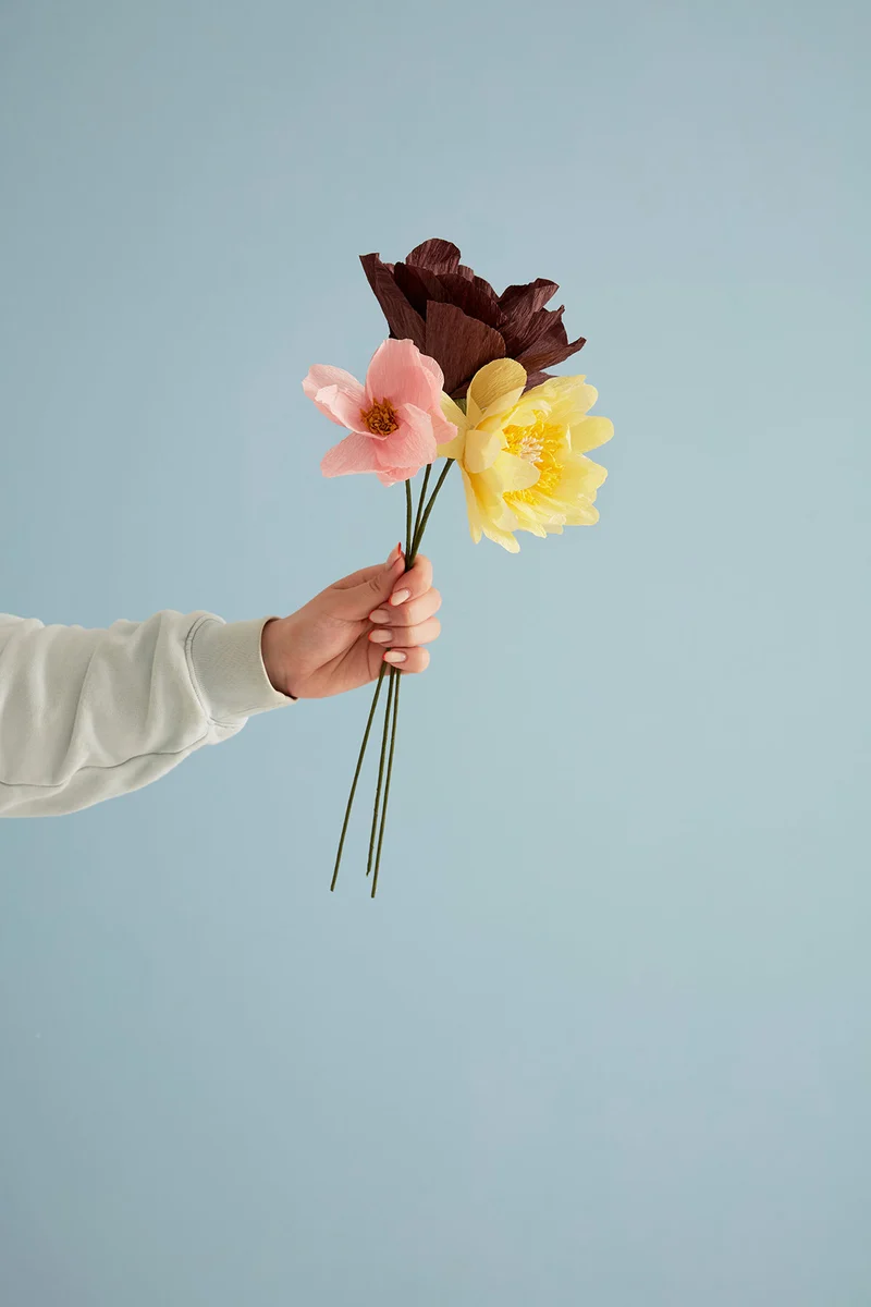 PAPER FLOWER, RHAPSODY ROSE, BROWN