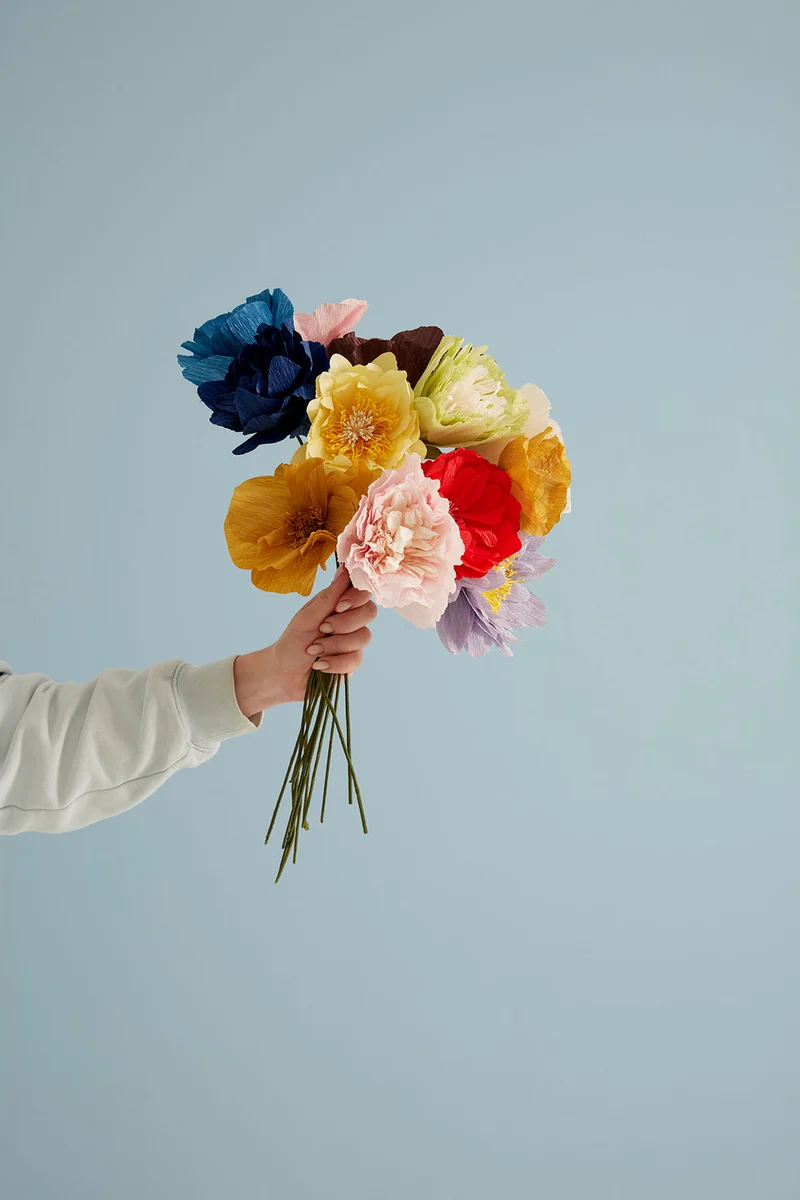PAPER FLOWER, HIMALAYAN POPPY, BLUE