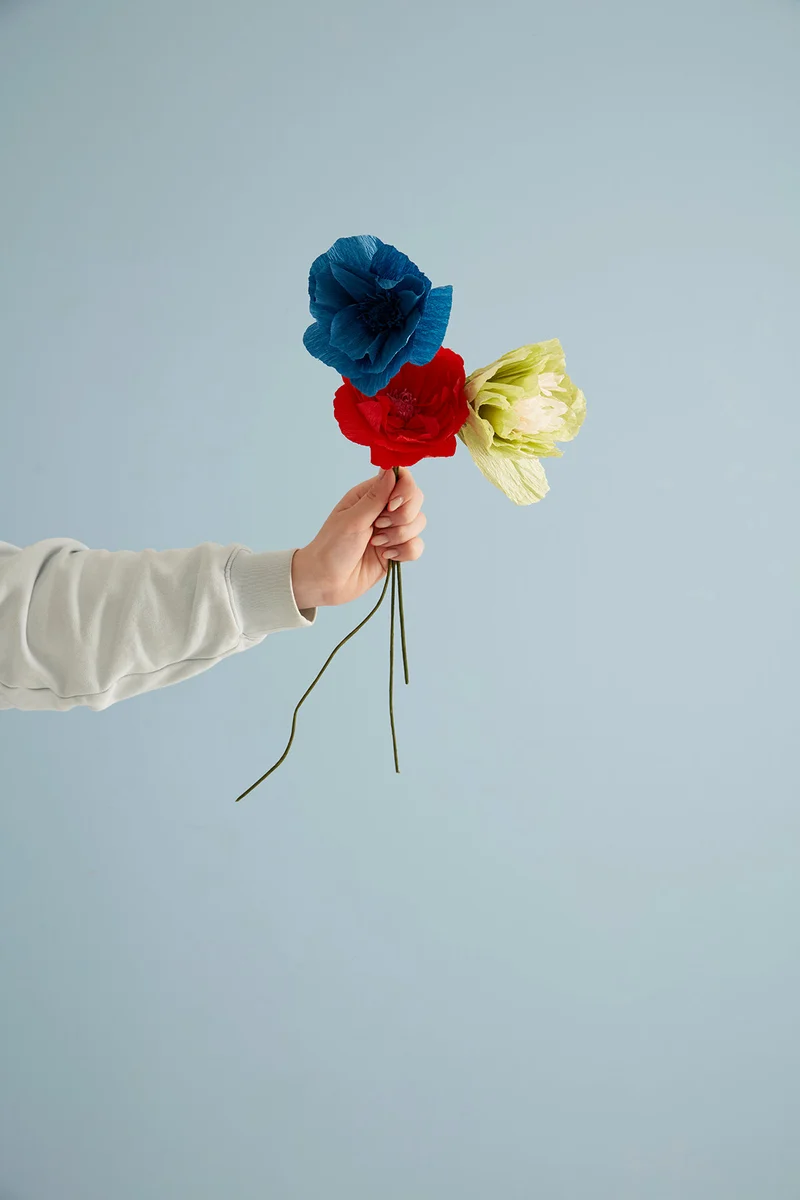 PAPER FLOWER, ORIENTAL POPPY, RED