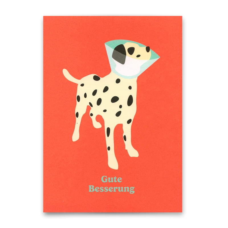 Postkarte "Gute Besserung Hund" | Lustige Karte zur Genesung