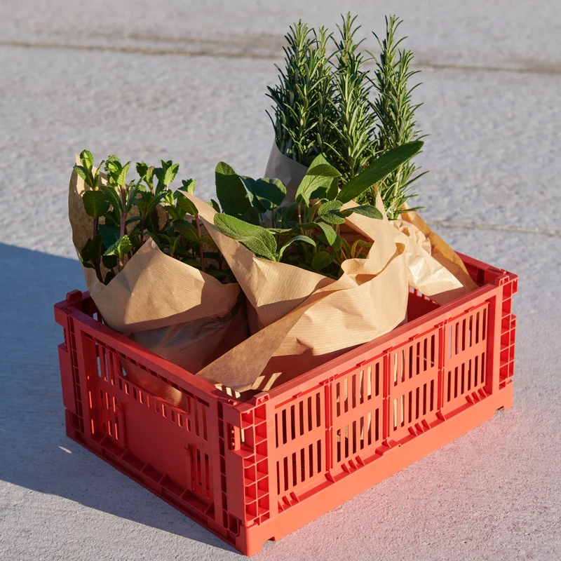 Faltbox „Colour Crate Medium Red“ | Ordnungshelfer mit Farbe | HAY