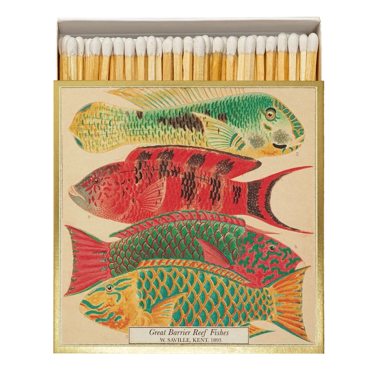 Lange Streichhölzer „Fishes“ Archivist | Extra lang in Square Matchbox
