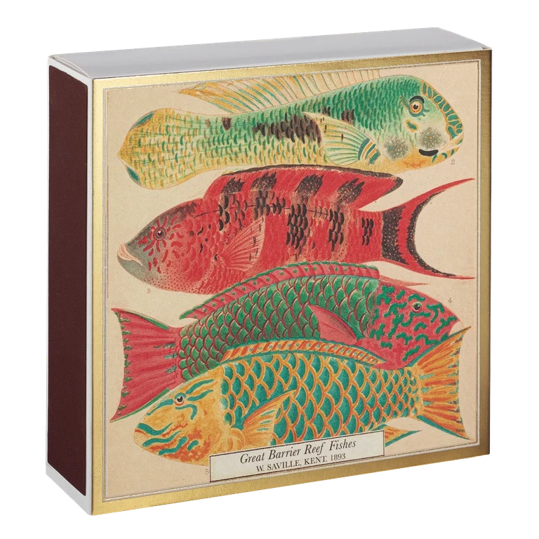 Lange Streichhölzer „Fishes“ Archivist | Extra lang in Square Matchbox