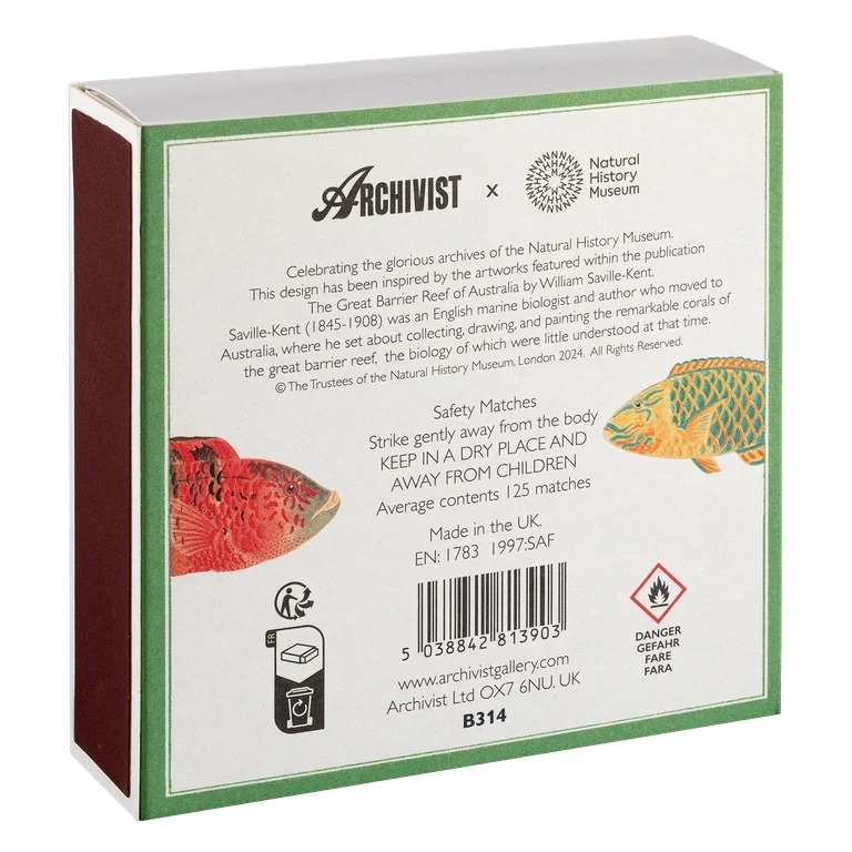 Lange Streichhölzer „Fishes“ Archivist | Extra lang in Square Matchbox