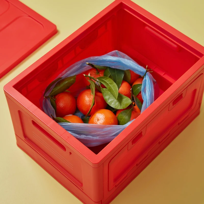 Aufbewahrungsbox Studio About "Large" | Red Kunststoff | Eyecatcher & Vielseitig