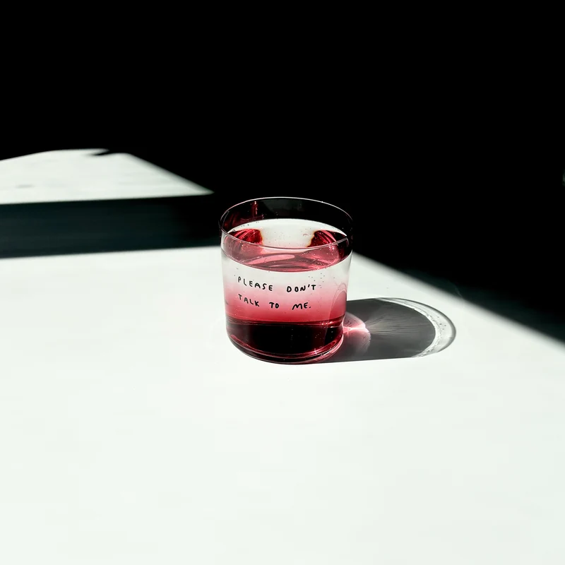 Trinkglas „Please Don't Talk to Me“ | Witziger Spruch | YAHYA Studio
