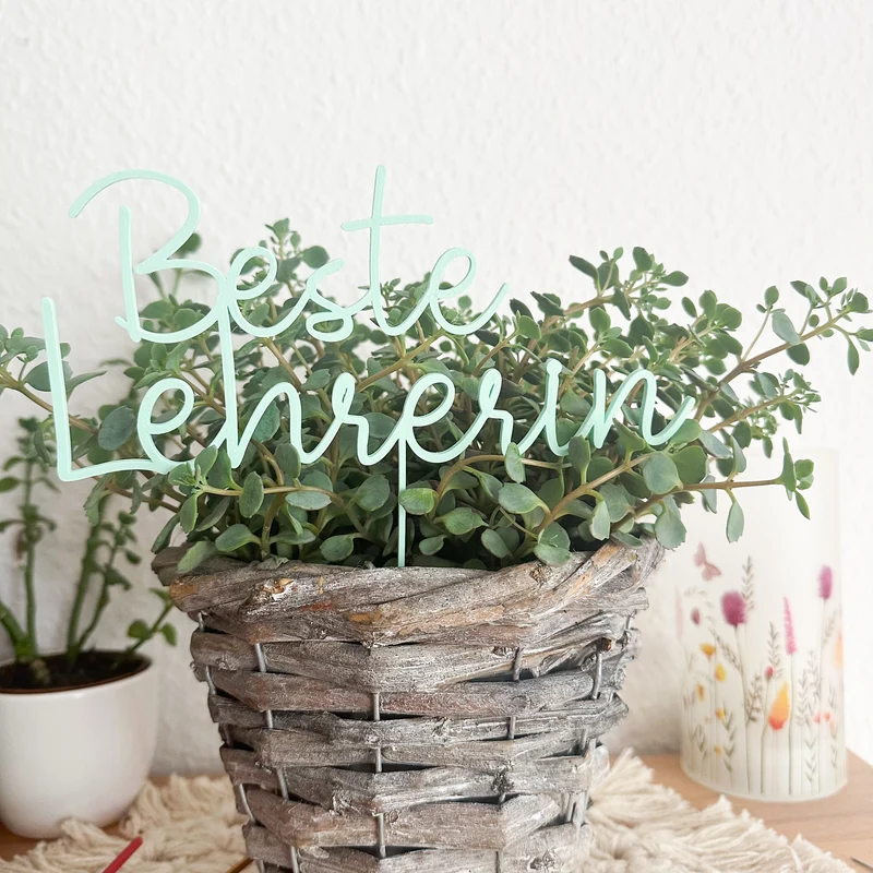 Beste Lehrerin - Blumenstecker