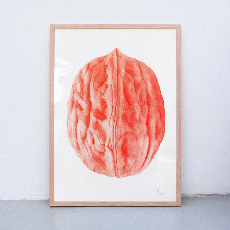 Nut No. 1 (Din A2) | Edition SCHEE | Siebdruck