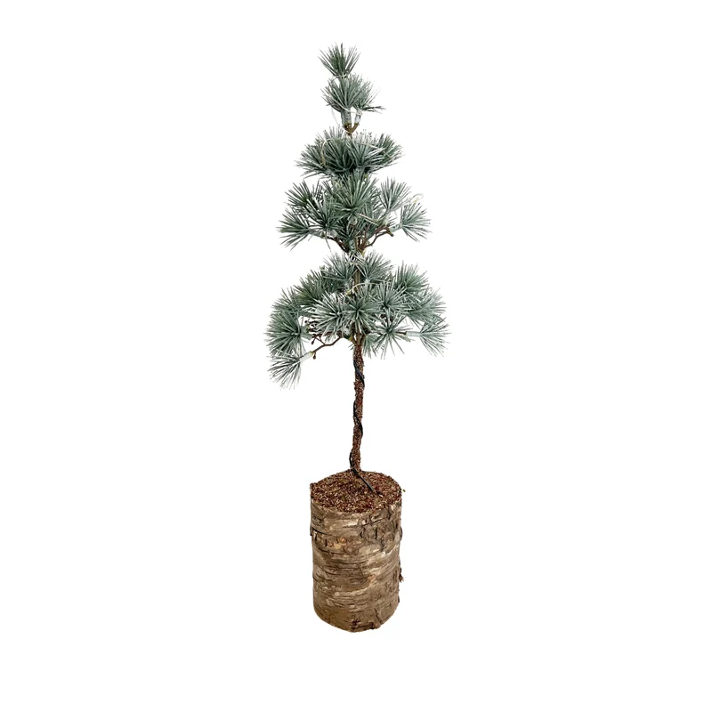 Nadelbaum m. LED – H45 cm