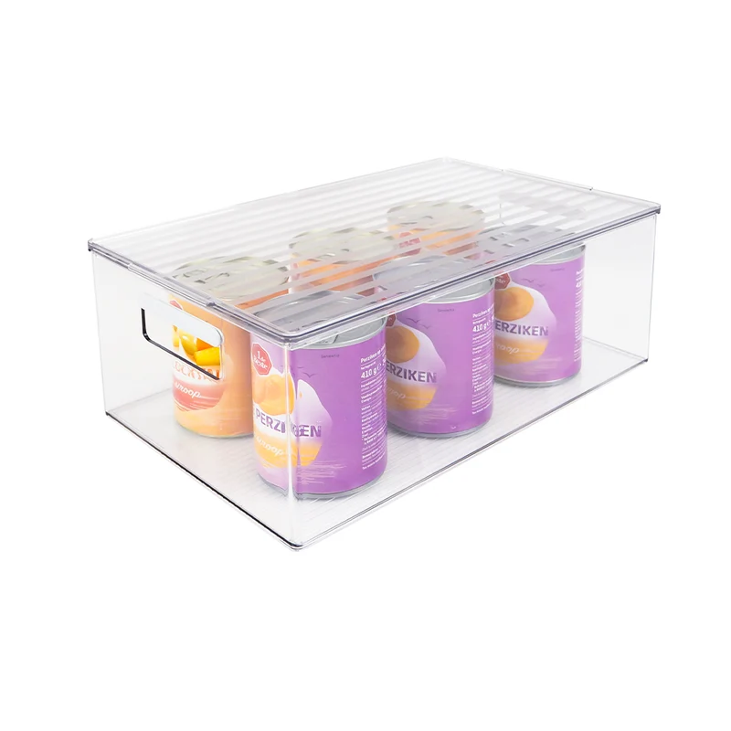 So Clever Aufbewahrungsbox Classic Clear