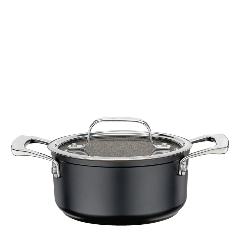SPRING Topf-Set MERIDIAN INTENSE PRO 4-teilig