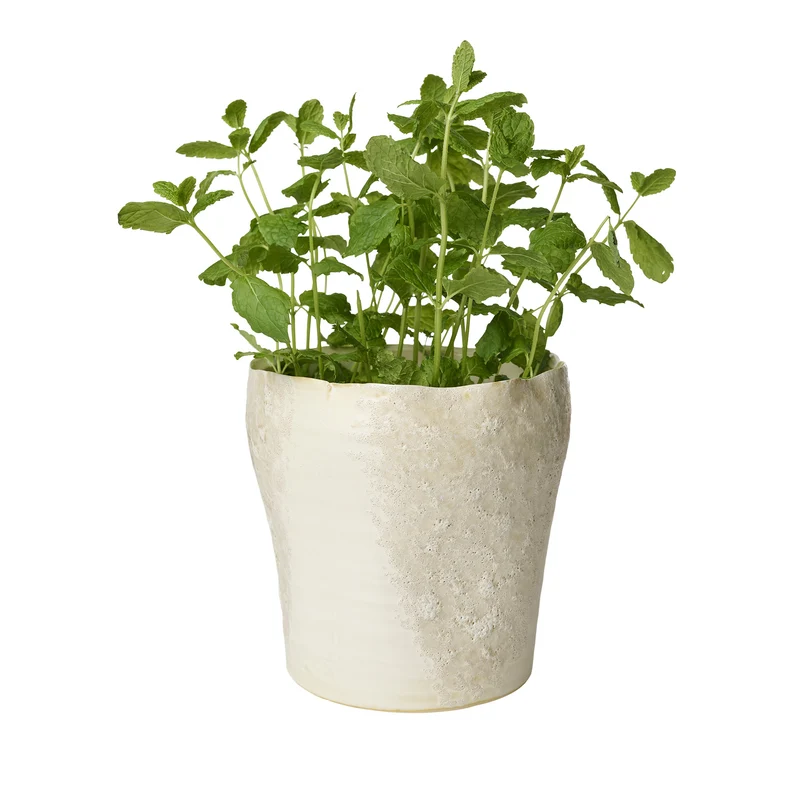 Sculpted Blumentopf D19 cm
