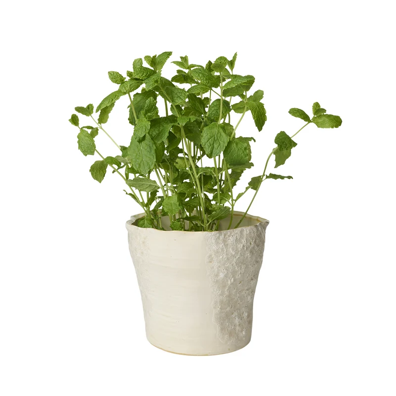 Sculpted Blumentopf D17 cm